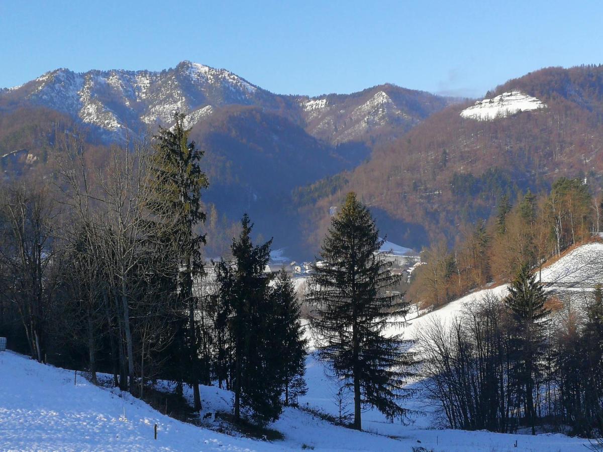 B&B Cerne Polhov Gradec Εξωτερικό φωτογραφία