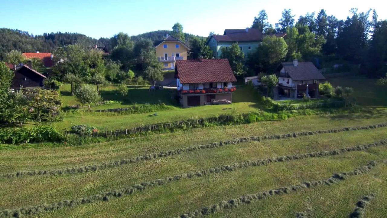 B&B Cerne Polhov Gradec Εξωτερικό φωτογραφία