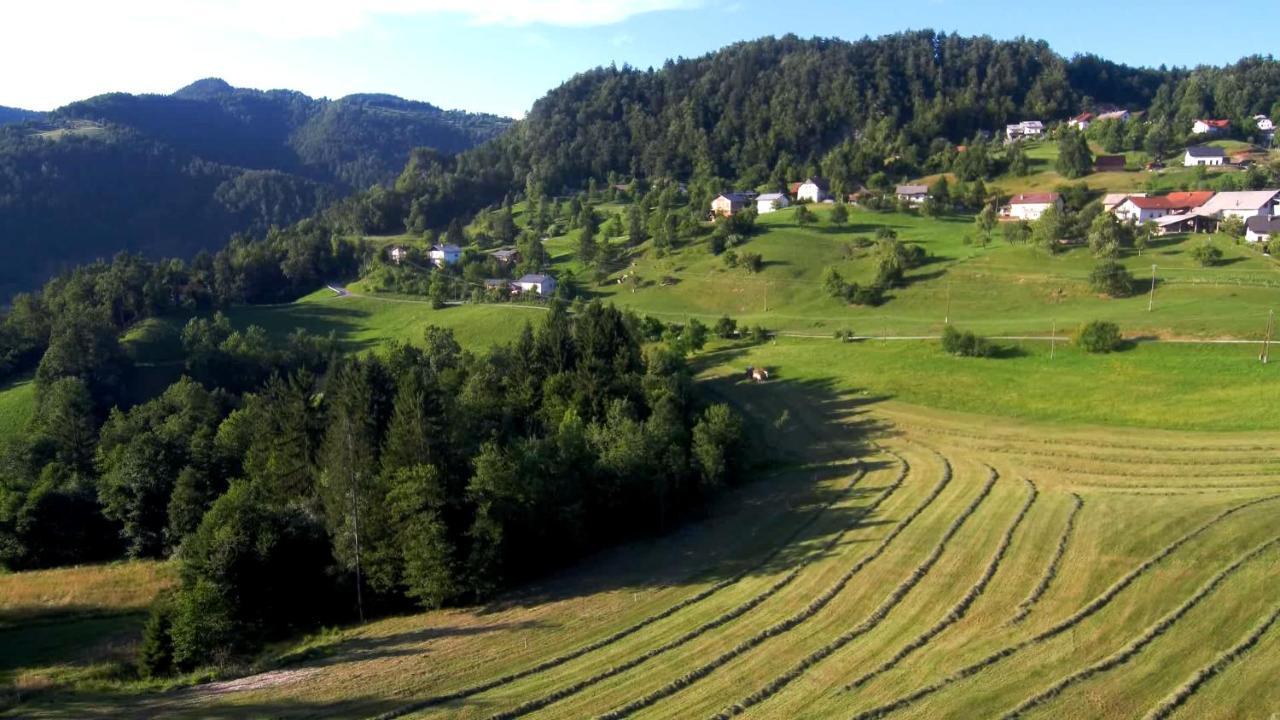 B&B Cerne Polhov Gradec Εξωτερικό φωτογραφία